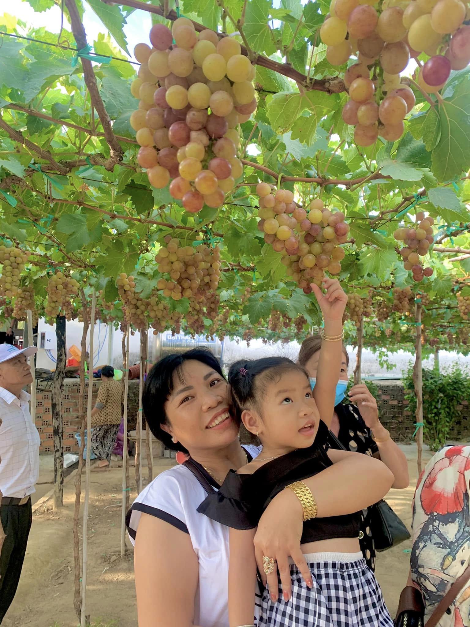 TOUR ĐẢO BÌNH BA (2N2Đ)