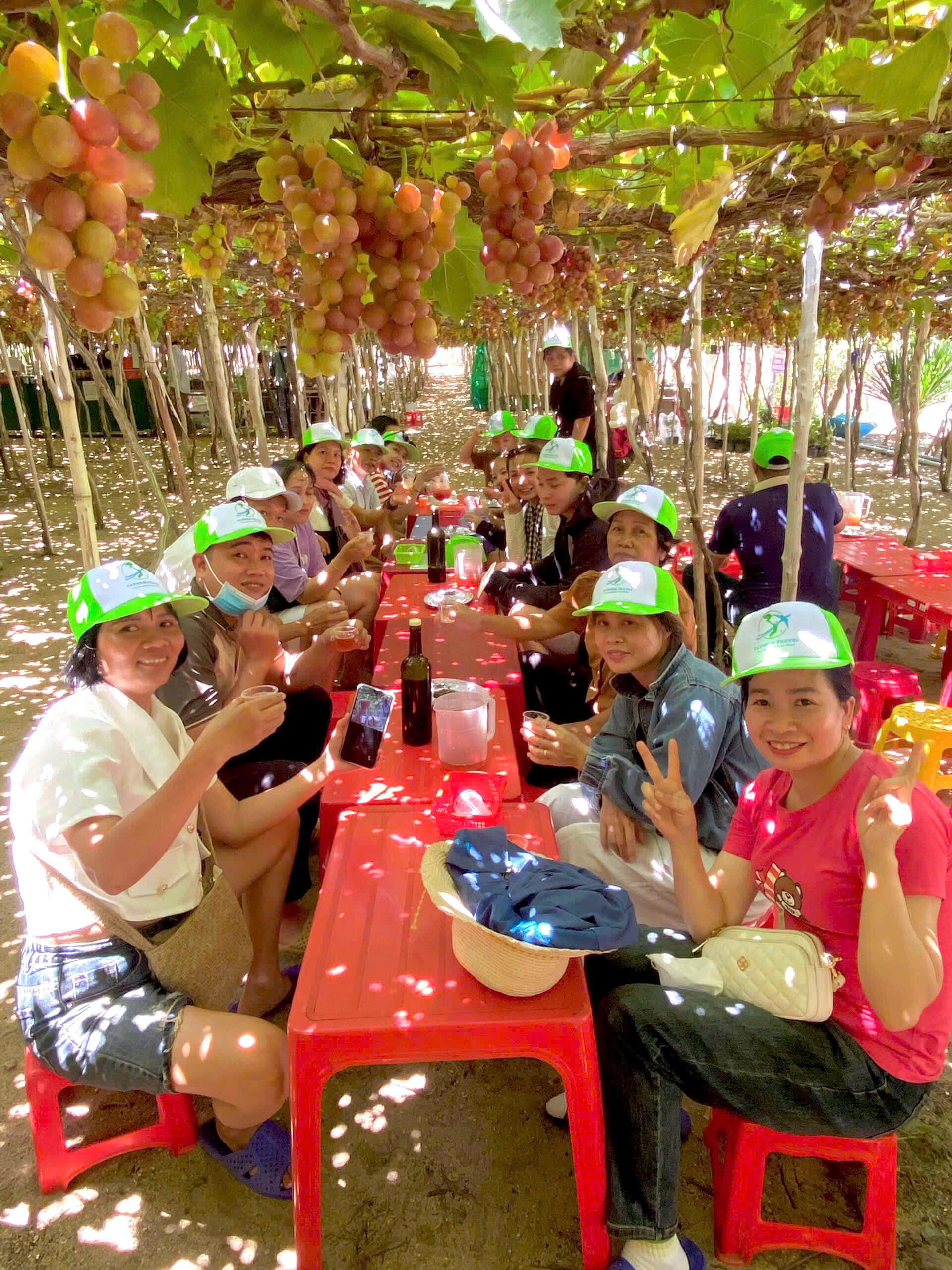 TOUR ĐẢO BÌNH BA (2N2Đ)